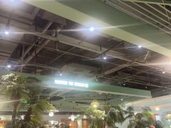 -春润大地海南椰子鸡(沙井京基百纳广场店)