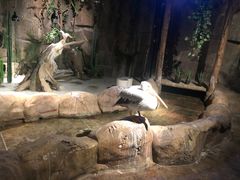 -zoonana室内动物园(东方福来德店)