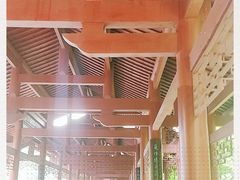-重庆彩云湖湿地公园