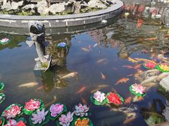 -上海东林寺(金山区)