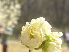 -北京明城墙遗址公园