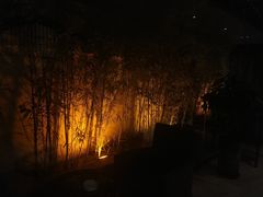 -竹雨堂创意中国菜(裕华店)
