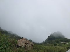 -白草畔自然风景区