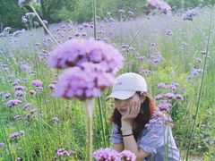 -杭州城北体育公园