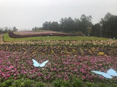 -天府芙蓉园