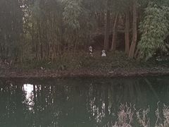 -桤木河湿地公园