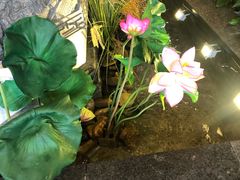 -高淳味道(丹阳湖北路店)