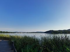 -东湖落雁景区