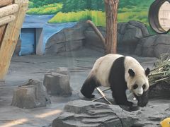 -秦皇岛野生动物园