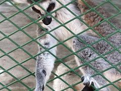 -水上乐园·欢乐世界