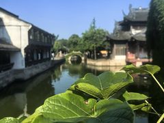 -鲁镇