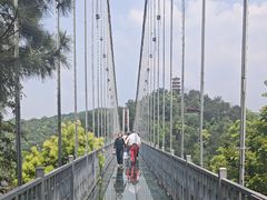 -石燕湖生态旅游景区