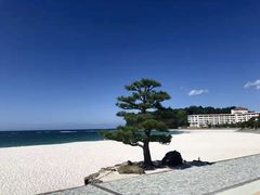 -南紀白浜 浜千鳥の湯 海舟