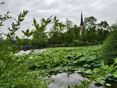 -成都南湖公园