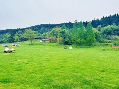 -武陵山森林公园