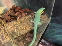 -正佳雨林生态植物园