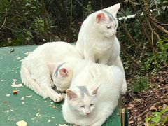 -狼山风景名胜区