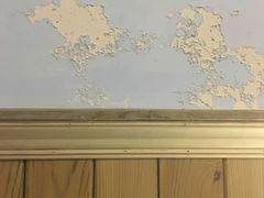 -猫色咖啡·猫咖