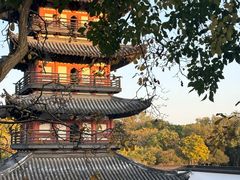 -上海方塔园