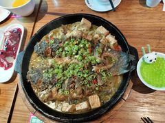 -老板恋上鱼(恒隆广场店)