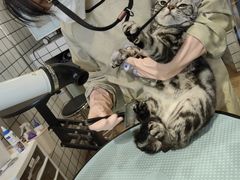 -熊小胖宠物生活馆(天华园店)