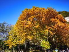 -秦岭终南山世界地质公园翠华山景区