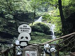 -碧峰峡风景区