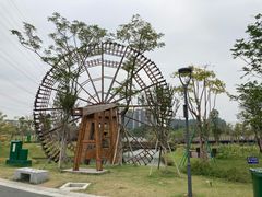 -王借岗森林公园