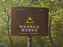 -紫金山天文台