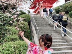 -有栖山 清光院 清水寺