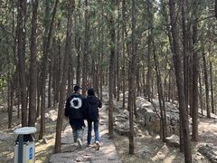 -云龙山