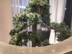 -马家斑.鲜鱼火锅(松湖万科店)