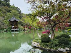-云溪植物园