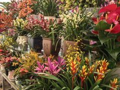 -金陵花卉交易市场