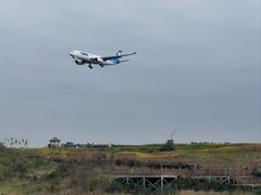 -空港花田景区
