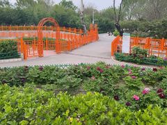 -太阳宫公园
