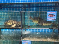 -范饭椰林川湘味海鲜·椰子鸡(三亚湾椰梦长廊店)