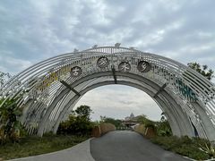 -江门古劳水乡旅游区