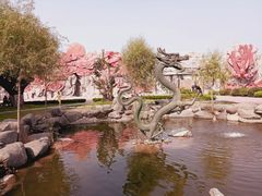 -太阳部落
