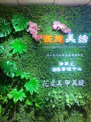 -西施无菌半永久纹绣眉眼影唇轻增发纹发际线