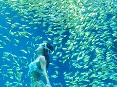 -海合安青岛极地海洋公园