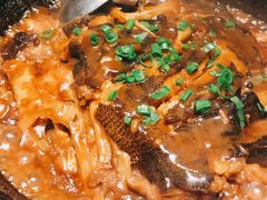 砂锅碟鱼头-双合园·海鲜水饺青岛菜(大尧三路店)
