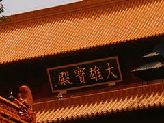 -深圳仙湖植物园