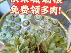-蝦塘·中国餐馆(城墙南马道巷店)