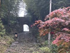 -仙霞关景区