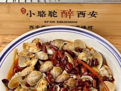 -福苗小骆驼烧烤(莲湖路店)