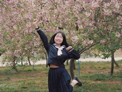 -天适樱花悠乐园
