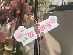 -F.Story 花和故事(新天地店)