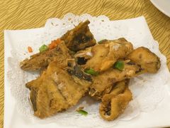 -寻味顺德·南记酒家·传统顺德菜·鱼生(广源路店)