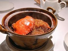 -新同乐鱼翅酒家(美丽华店)